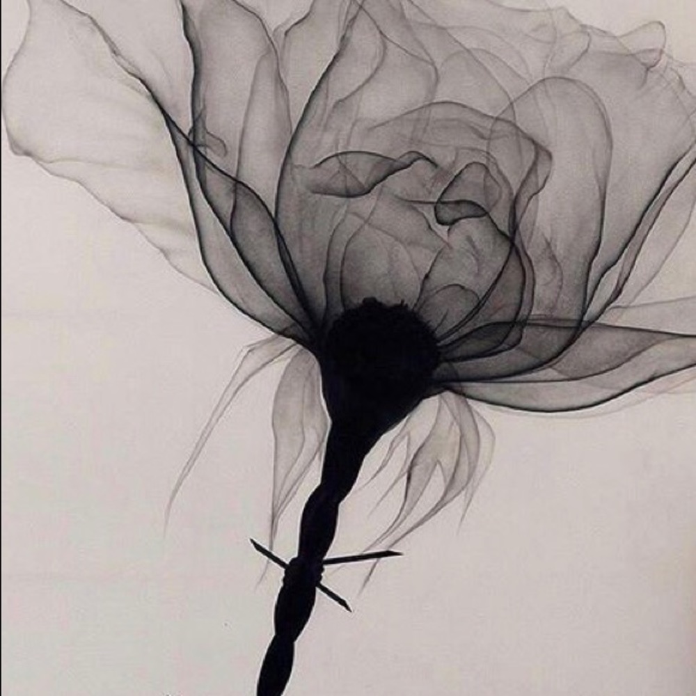 Meet your Posher, Juli